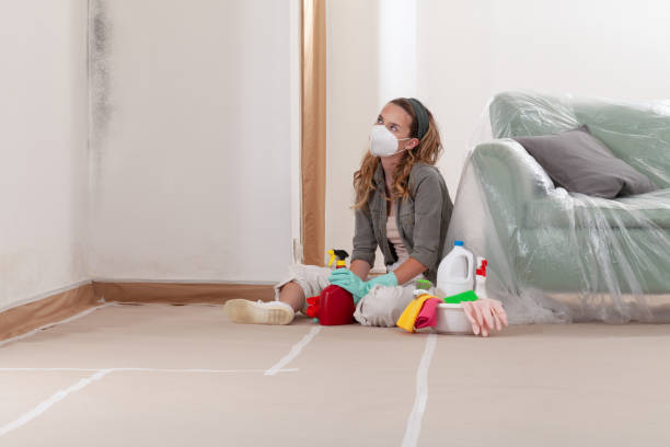 Reliable Mold Remediation contractor in Efland, NC by WQB Mold Removal